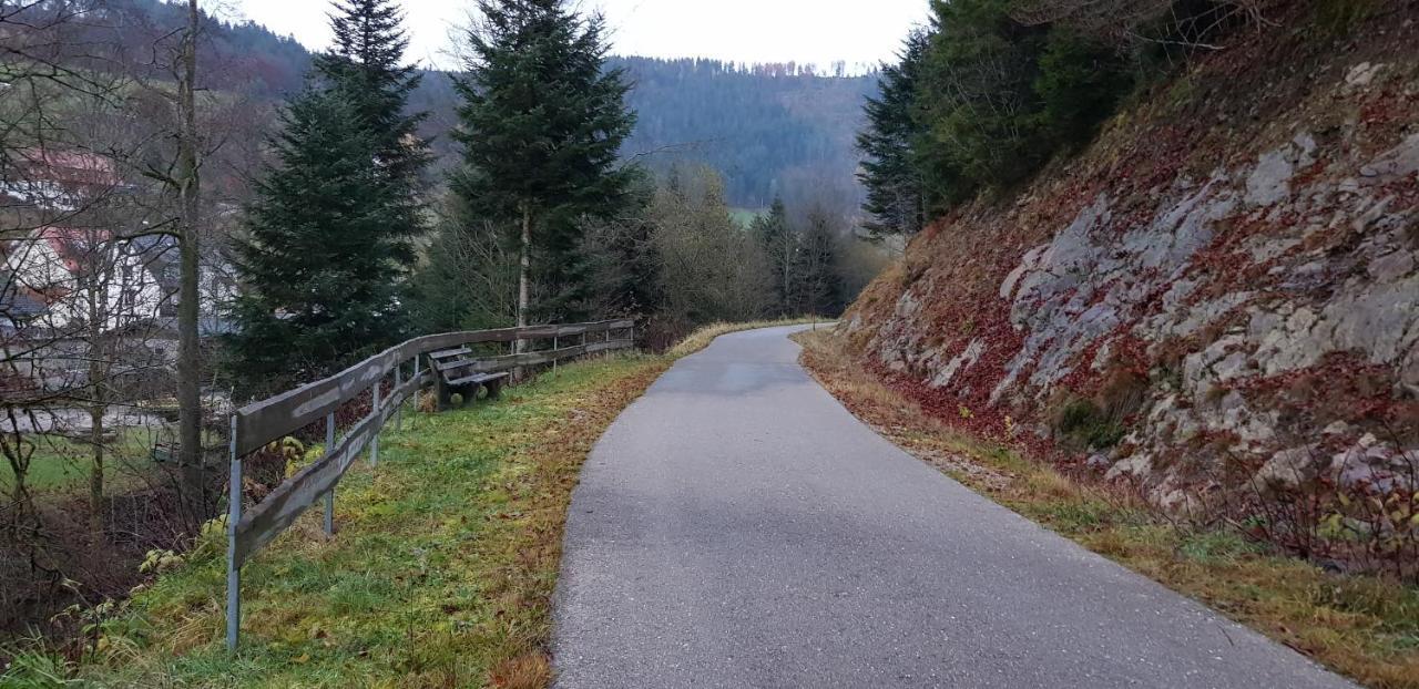 Ferienwohnung "Hirschlein" Im Schwarzwald Baiersbronn Esterno foto