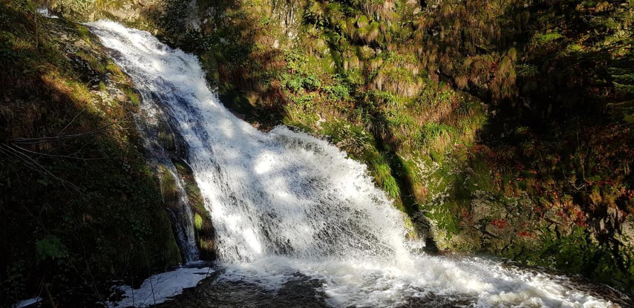 Ferienwohnung "Hirschlein" Im Schwarzwald Baiersbronn Esterno foto
