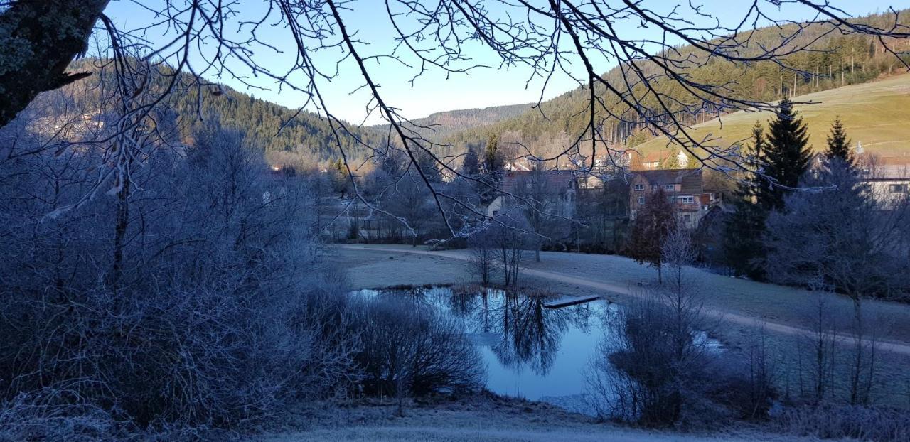 Ferienwohnung "Hirschlein" Im Schwarzwald Baiersbronn Esterno foto