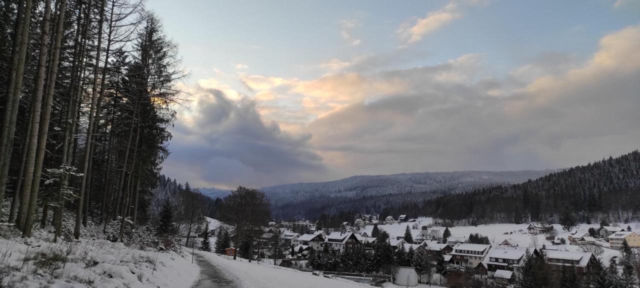 Ferienwohnung "Hirschlein" Im Schwarzwald Baiersbronn Esterno foto