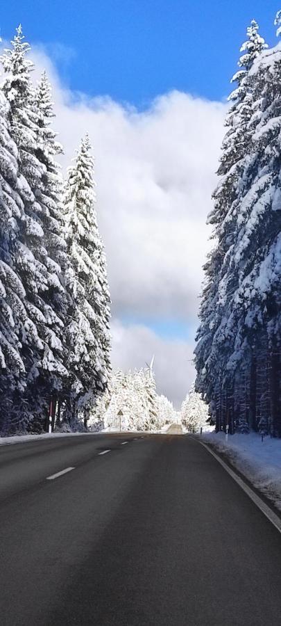 Ferienwohnung "Hirschlein" Im Schwarzwald Baiersbronn Esterno foto