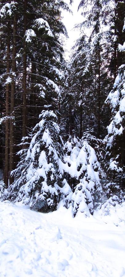 Ferienwohnung "Hirschlein" Im Schwarzwald Baiersbronn Esterno foto