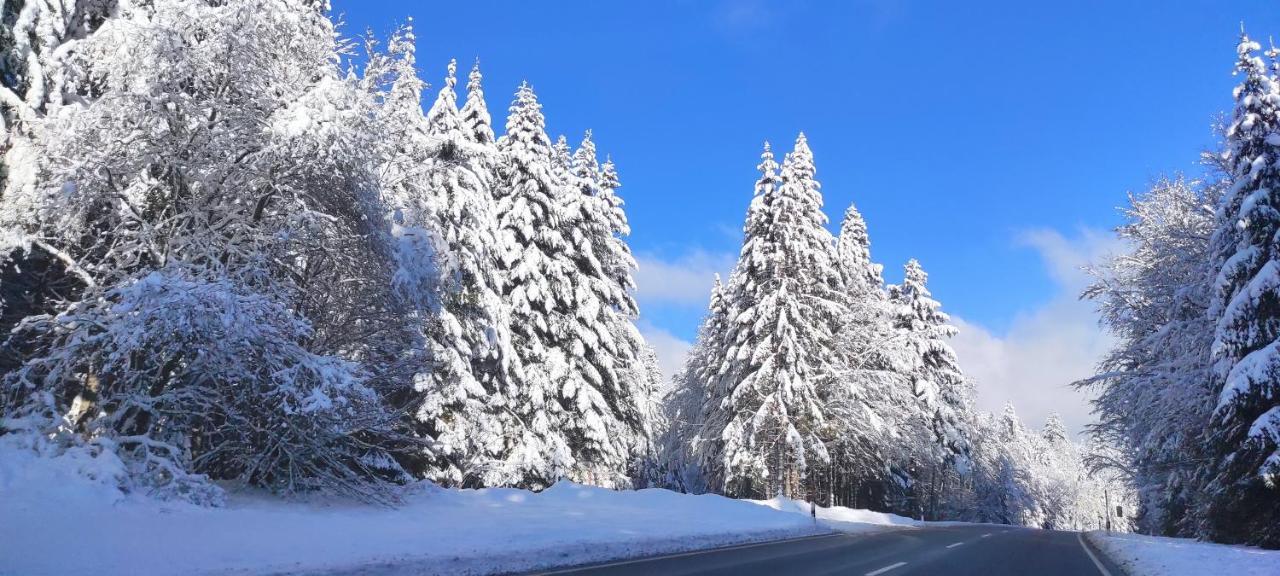 Ferienwohnung "Hirschlein" Im Schwarzwald Baiersbronn Esterno foto