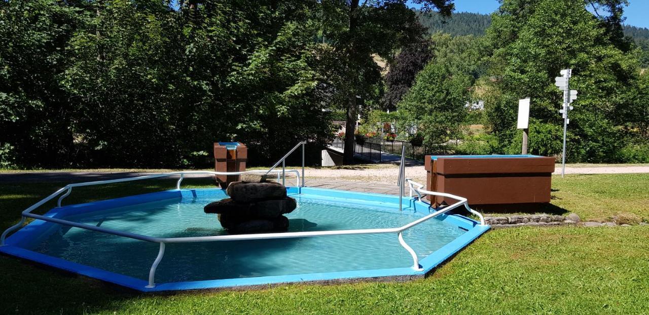 Ferienwohnung "Hirschlein" Im Schwarzwald Baiersbronn Esterno foto