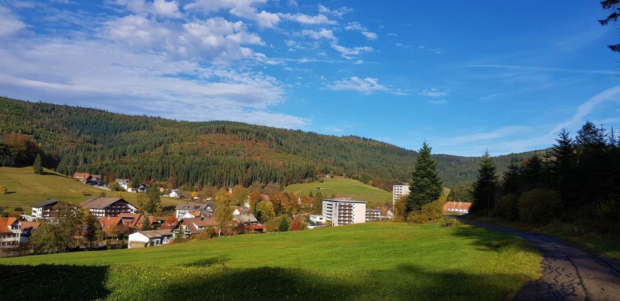 Ferienwohnung "Hirschlein" Im Schwarzwald Baiersbronn Esterno foto