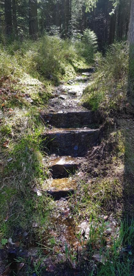 Ferienwohnung "Hirschlein" Im Schwarzwald Baiersbronn Esterno foto
